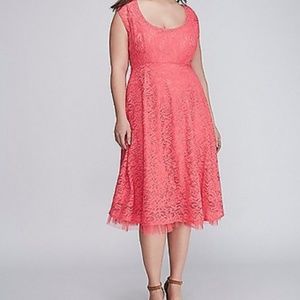 Lane Bryant Swing Dress